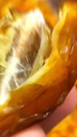 cung siapa disini yang favoritnya kurma tunisia tangkai kayak aku #ramadhanekstraseru 