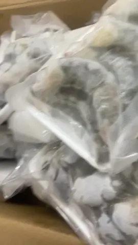 Tôm tại hà Nội. Tôm tươi to bóc nõn. Chỉ 240k kg 2 khay