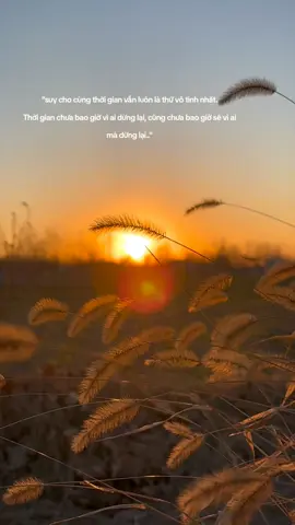 cuộc sống #tamtrang #story #stt #storytime #nhactamtrang #nhachaymoingay #reels #fyp #lyrics #xh #BookTok 