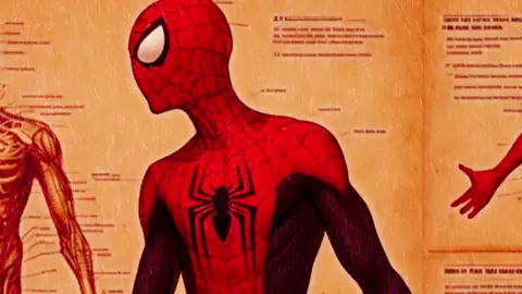 A CIÊNCIA DO HOMEM ARANHA ( COMO funciona seus poderes ???? )