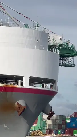 True love 😃 #ship #vessel #roro #carcarrier #marinelife #spotting 
