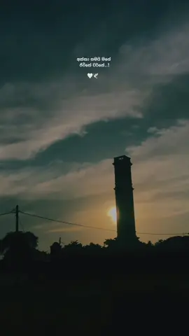 #එයාව_mention_කරන්_යන්න 😍❤️🌼 #nethu__m #fyp #moment #akka #sister #loveu #whatsappstatus #sinhalaquotes #onmillionaudition #foryou #viralvideo #matara #wadan_tik_tok #fyyyy 