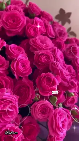 Ответ пользователю @olgaolechka13 #сднемрожденияольга 