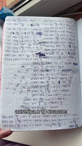 #рекомендации #popular #школа #алгебра #fypシ #on #приколыдослёз 