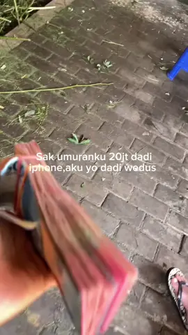 #fyp #fypシ #peternakmuda #peternakindonesia #kambing #bakulweduscomunitiy #peternakan #pembisnismuda #peternakkambingmuda #peternakkambingndeso #peternakkambingindonesia #peternakkambingmilenial #boskambingmuda #juragankambing #juragankambing🐐 #bakulwedus #bisnisdombakambing #bakulwedusmilenial #pasarwedus #pasarwedos 