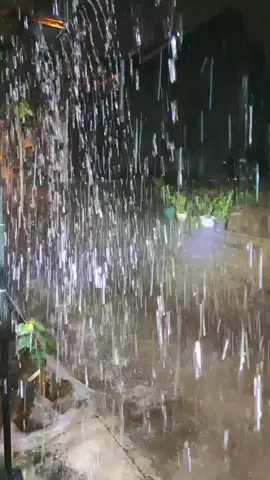 Hujan Malam Ini #hujan #hujanmalam #hujanderas #hujanlebat #hujanrindu #malamsyahdu #rain #hardrain #heavyrain #saathujan #hujanberkah #semarang #semaranginfo #infosemarangan #infosemarang #semarangupdate #semarangsekarang #rintikhujan 