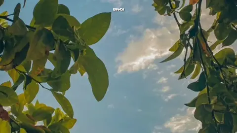 မင်းအတွက်ငါ - ကိုတောက်ပ  #songwithus #music #song #lyrics #foryou #fypage #fyp #fyppppppppppppppppppppppp #fypシ゚viral #fypシ 