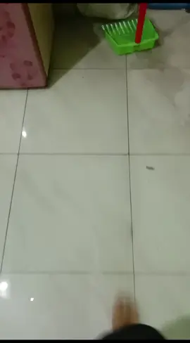 Rumah ku malam ini kebanjiran + kedatangan tamu tak di undang 😭#fypシ゚viral #storytime #foryoupage #semarangbanjir 