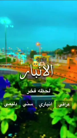 #ادليم_وعز_الدليم_ادليمي_ابن_الانبار #البعساف_أمارة_دليم #الغربيه_وزلم_الغربيـه #الدليمي👑 #ابن #الارمادي 