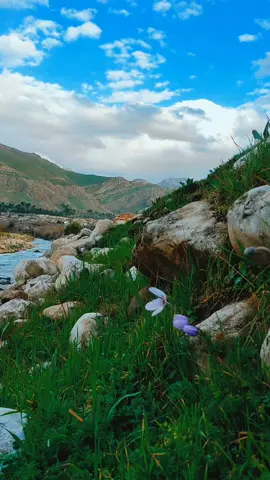 #nature_video_photo #وێنەو_ڤیدیوی_سروشت ئاوی زەڵم _ هەورامان _خورماڵ #nature #travel  #گەشت #سروشت  #capcat بۆبینینی دیمەنی سروشتی follo  سوپاس بۆلایک و فۆڵۆکانتان  #follow 