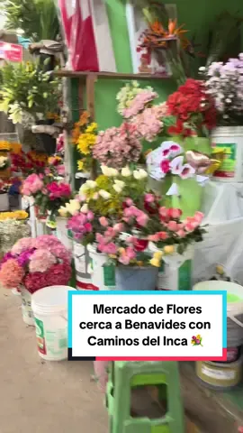 hay muchísima variedad a buenos precios 💐💫 #flores #ramo #mercado #💐 