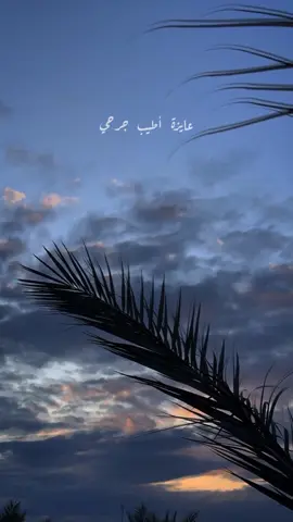 عايزة ألملم قلبي وأحضن نفسي وأمشي بعيد عايزة أطيب جرحي أيوة أطيب جرحي أكيد عايزة حبك يبعد عني  عايزة جرحك يخرج مني  لازم أعلم قلبي أنا يقسى ولازم ينسى ولازم أعيش  . . . #شيرين  #شيرين_لازم_اعيش  #نصر_محروس #محمد_يحيى  #يحيى_الموجي #لازم_اعيش  #عايزة_الملم_قلبي #sherin #شيرين_عبدالوهاب #اغاني 