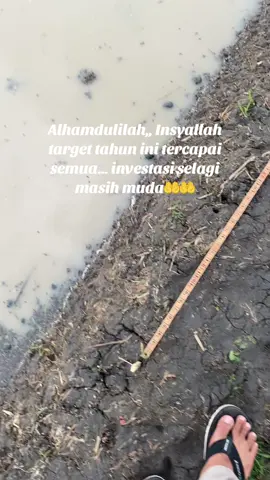 Alhamdulilah Pengukuran Lahan Sawah 5000 M Berjalan lancarr..