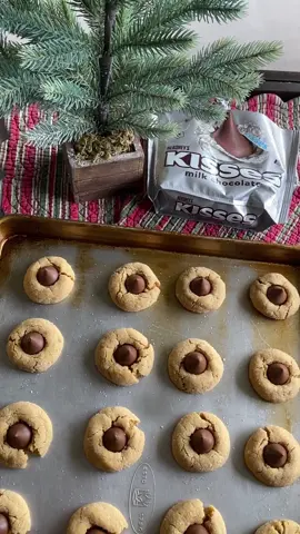 𝗣𝗕 𝗰𝗵𝗼𝗰𝗼𝗹𝗮𝘁𝗲 𝗯𝗹𝗼𝘀𝘀𝗼𝗺𝘀🎄🎁cd: 287 days!☃️❄️#christmas #baking #fyp #foryou #snow #new #viral #santa #foryoupage #christmasaesthetic 