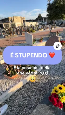 Potrei piangere❤️🥹 #auracode #emozione #emozioni #cimitero #serenity #ricordo #nonna #nonno #nonni #equilibrio #tecnologia #qrcode 