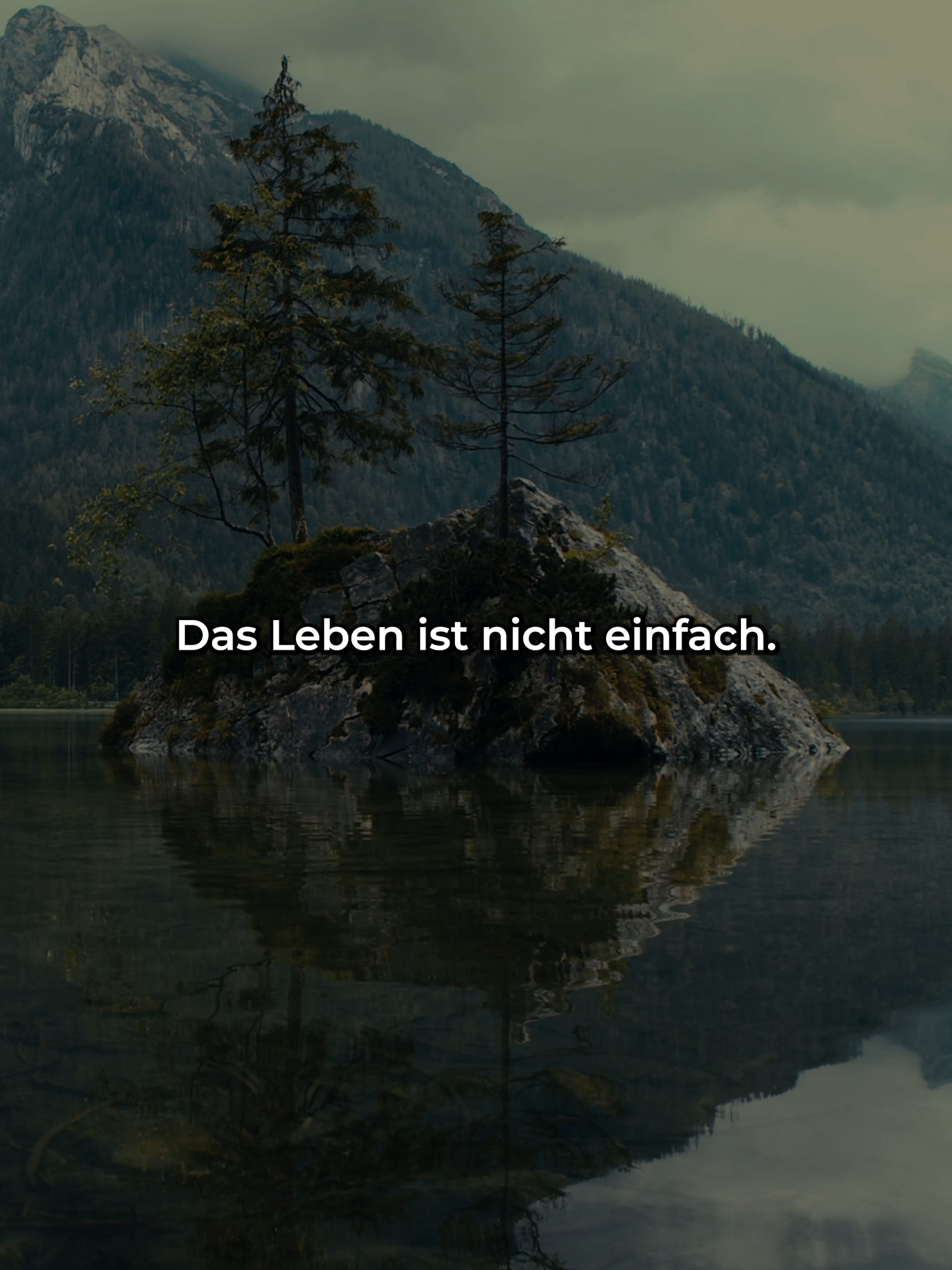 Sei Immer Dankbar.  #zitate  #liebe  #disziplin  #mindset  #motivation  #deutsch  #fürdich  #fürdichpage  #fyp  #fürdichseiteシ