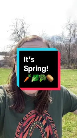 Plant cool weather crops in your garden now in this beautiful (almost) Spring weather! #springgarden #springweather #springharvest #gardeningtips 