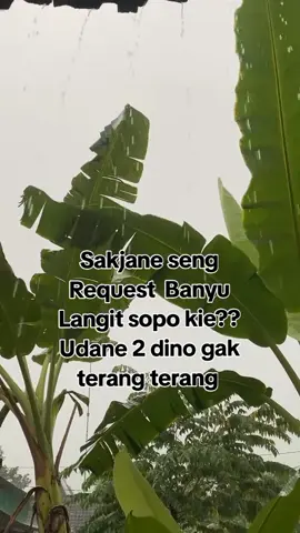 Hujan gak ada redanya udah 2 hari #semarang24jam #semarang #banyulangit #lewatberanda #viral #fyp #fypシ 