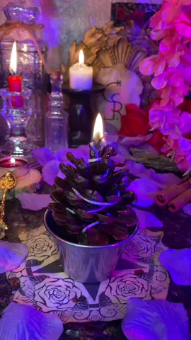 DIY pinecone candle 🕯️🌲✨ Keep an eye on it cause it burns weird 🧯 #candlemaking #candle #DIY #howto #artsandcrafts #witch 