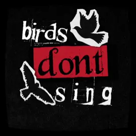 idk how i feel about this one, inspired by a shirt i bought off tiktok shop lol  #mograph #edit #tvgirl #aftereffects #birdsdontsing #motiongraphics #lyrics #ballman422 #mographedit #fyp 