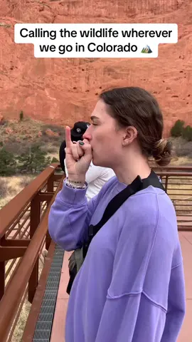 Calling all wildlife!! #coloradosprings #mountains #girlsounds #trending #wildlife @Kc 
