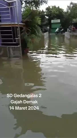 #banjir #infobanjir #banjirdemak #relawankemanusiaan 