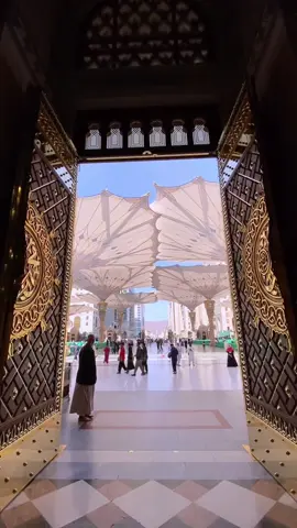 Madinah Madinah ✨✨✨ #nabawi #masjidnabawi #masjidilharam #nabawimosque #madinah #madinahalmunawaroh #makkah #makkahmadinah🕋 #umroh 