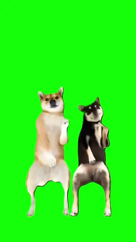 #FUNNY#CapCut COULPE DOGS DANCING. #greenscreen #greenscreenvideo #greenscreenoverlays #fyp #fypシ #fypage #fypppppppppppppppppppppppppppppppppppppppppppppppppppppppppppppppppppppp #fyppage #fypシ❤️💞❤️ #meme #memes #memestagram #freefirememe #memepage #viral #viralvideos #viralreels #viralvideo #viralpost #meme2024 #trend #trendy #trending #trendingreels #trendtiktok #trendingtiktok #trendy #dogmeme #dogmemes