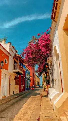 Diosa coronada 👑❤️                                  #parati #dedicatoria #amorpropio #fyp #silvestredangond #diosa #romance #musica #vida #tiktok 