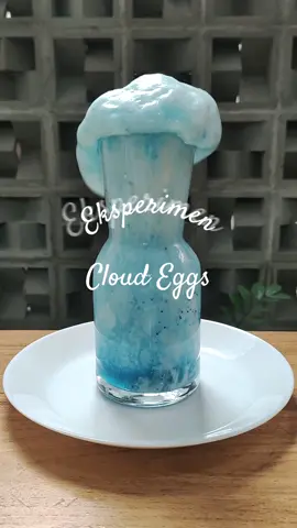 Eksperimen Awan dari telur 😍 Reaksi kimia kali ini bikin takjub, secantik itu, apalagi dilihat secara langsung ❤️ Bahannya 1. Putih Telur + 3 sdm soda kue + gliter  (2 telur yg pecah, ambil putih telur yg belum tercampur   dengan kuning telur) 2. Masukan cuka -+80 ml yang diberi pewarna makanan Menapa bisa terjadi demikian ? Natrium Bikarbonat yang terdapat di soda kue dan asam asetat dari cuka bereaksi membentuk gas karbon dioksida. Ini menyebabkan gas terperangkap oleh putih telur yang kental saat akan keluar, sehingga membentuk buih atau busa putih telur, seperti awan 😍 sumber : Mel Chemistry Like jika menyukai, follow untuk melihat eksperimen & ide bermain lainnya, jangan lupa share dan komen yah ❤️ #iderbermain #idebermaindirumah #idekreatif #PlayBasedLearning #activities #activitiesforkids #eksperimen #sensoryplay #cloudeggs #eggfoam #eksperimensederhana #experiment 