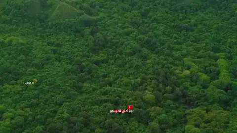 ..صوته خيال ما شاء الله  القارئ 🎙 ::: علي نمير . @علي نمير | alinameer  .. .اضافه للصفحه جزاكم الله خيرا .  #اكتب_شي_تؤجر_عليه #اذكروا_الله_يذكركم #قران_كريم #القرآن_جنه_عافيه_لاتهجروه_أذكروا_الله_ #عبد_الباسط_عبد_الصمد_رحمه_الله #المنشاوي #عامر_الكاظمي #