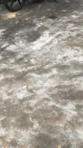 si50 làm đc 72 hong ta🤣 #siriusđộkiểng #xuhuong 