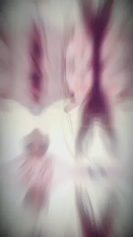 😎ရှင်တယ်နော်