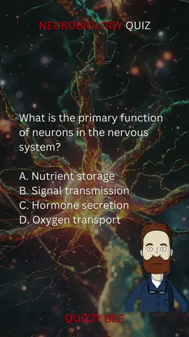 Neurobiology Quiz | Neuro Nerd Alert: Engage Your Brain with our Quiz! Don't miss out on more mind-bending quizzes and fascinating content! Follow us for your daily dose of neurobiology insights! 🧠🌟🧬🤯