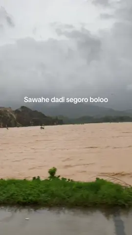 Daerahmu pie lurr #banjir #fyp #berandamu #jowostory #xyzbca #fypシ #jowopride 