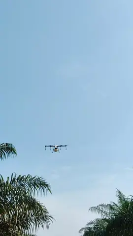 Ga ada mobil, drone pun jadi🙌🙏#fyp #drone #dronespraying #terradrone #pilotdrone #indonesia #sawitontiktok 