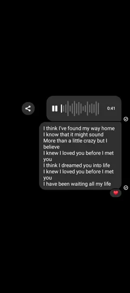 found my way home. #fyp #iknewilovedyou #vm  #savagegarden #fypシ 