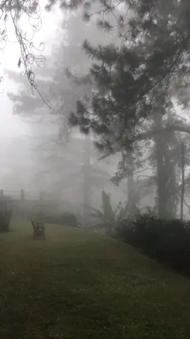 yang memeluk raga kecilku.. #kekal #nadinamizah #liriklagu #4u #foryou #xybca 