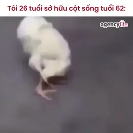 Sơ hở là đau lưng. Cre: Cuộc sống agency #xuhuong #chichan07 #relax 