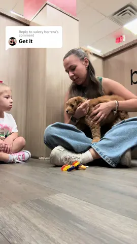 Replying to @valery herrera proceeds to go see puppies🤣🤣 #puppylove #puppiesoftiktok #puppies #puppylove 
