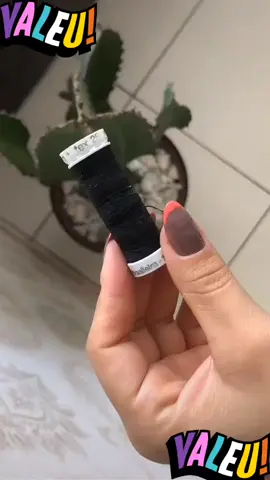 Morria e nao sabia #dicadecasa #nordeste 