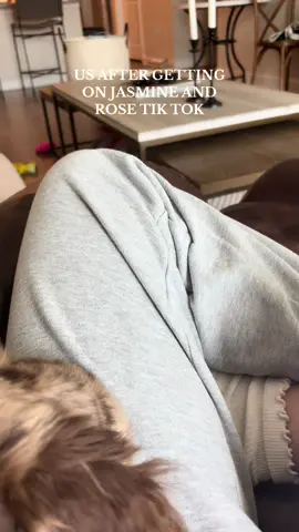 We’re obsessed with @Jasmine and Rose (and Amelia) #puppy #trending #relatable #puppy #sausagedog #minidachshund #weenie #miniaturedachshund #dogtok #dogsoftiktok #dachshund 