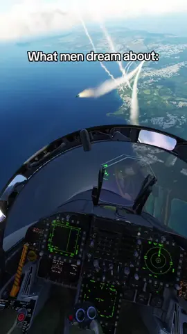 The dream... | DCS World #dcs #dcsworld #aviation #relatable #epic #fyp #military #f18 #airforce 