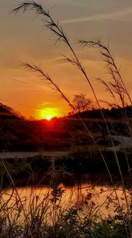 #CapCut #mensagem #mensagemdefe #paisagem #pordosol #fazenda #fe #fé #musicagospel #gospel #musicadefé #agradeca #agradeça #Deus #deusnocomando #deusefiel #deusnocontrole 