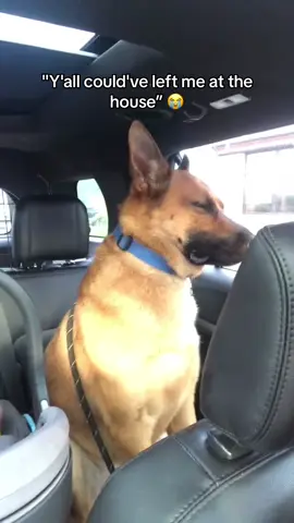 Bro has been up all night 😭 #dog #dogsoftiktok #baby #cute #funny #comedy #hoest 