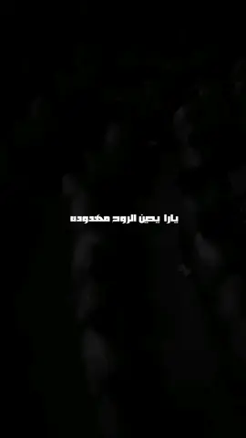 يا رايحين الروح مهدوده || مسلم الوائلي  #مسلم_الوائلي #يارايحين_الروح_مهدوده #مشاهدات #صعدو_الفيديو #fyp #viral #explore #titoklong #قصائد_حسينية #حسينيات #تصميم_فيديوهات🎶🎤🎬 #فرنر🔥🎼✈️ #الحمدلله_دائماً_وابداً #ترند #مشاهير_تيك_توك #اجذب_عيني_وادري_حسين #طايح_بين_خياله 