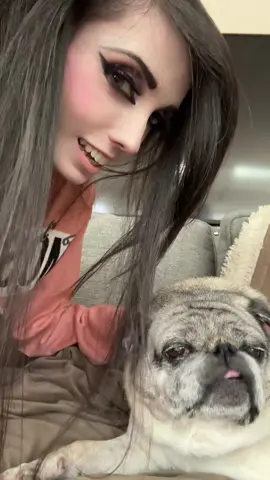 Happy birthday to my amazing dog Buzz!! Hes such an amazing dog and im so grateful to have such an anazing and loyal friend like him 🥰💖🐾 Dogs truly are the best 🐶💯 #dog #dogsoftiktok #pug #animalsoftiktok 