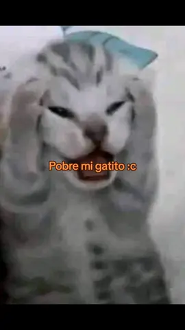 No tengo ideas 😔 #sisoy #paratiii #fypppp #sas 