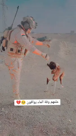 #حبايبي_متابعة_للحساب_لايك_اكسبلور 