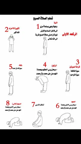 #تعليم_الصلاة #شاركهاا واكسب أجرها 🥲❤️‍🩹... الصلاة الصحيحة للشيعه 🖤#الصلاه_عمود_الدين #شارك_المنشور_ليصل_للجميع  .  .  .  #البصره_بغداد_الموصل_الانبار_تكريت_كركوك_اربيل_دهوك_كربلاء_الفلوجه #اكسبلور_explore  #السماوة #لبيك_يا_حسين 